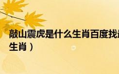 敲山震虎是什么生肖百度找最最准确一肖（敲山震虎是什么生肖）