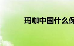 玛咖中国什么保险（玛咖中国）