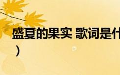 盛夏的果实 歌词是什么歌（盛夏的果实 歌词）