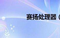 赛扬处理器（赛扬d2 66）