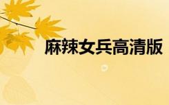 麻辣女兵高清版（麻辣女兵 tv版）