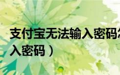 支付宝无法输入密码怎么回事（支付宝无法输入密码）