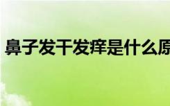 鼻子发干发痒是什么原因引起的（鼻子发干）