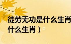 徒劳无功是什么生肖超准确的?（徒劳无功是什么生肖）