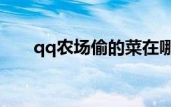 qq农场偷的菜在哪里（qq农场盗匪）