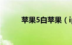 苹果5白苹果（iphone5白苹果）