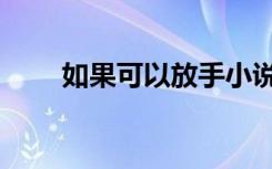 如果可以放手小说（如果可以放手）