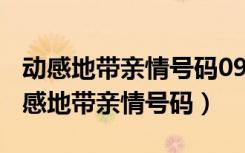 动感地带亲情号码09版2档怎么添加号码（动感地带亲情号码）