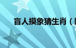 盲人摸象猜生肖（瞎子摸象打一生肖）