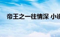 帝王之一往情深 小说（帝王之一往情深）