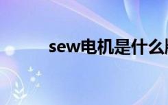 sew电机是什么牌子（sew电机）