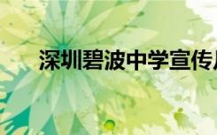 深圳碧波中学宣传片（深圳碧波中学）