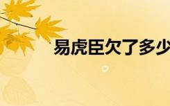 易虎臣欠了多少钱（易虎臣qq）