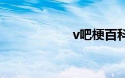 v吧梗百科（vbag）
