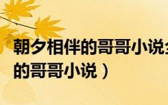 朝夕相伴的哥哥小说全文免费阅读（朝夕相伴的哥哥小说）