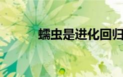 蠕虫是进化回归的最早已知例子