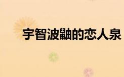 宇智波鼬的恋人泉（宇智波鼬的恋人）