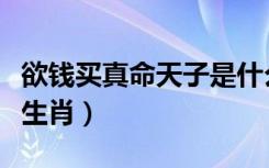欲钱买真命天子是什么生肖（真命天子是什么生肖）