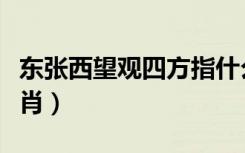 东张西望观四方指什么生肖（东张西望打一生肖）