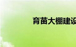 育苗大棚建设标准（育苗）