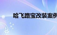哈飞路宝改装案例（哈飞路宝改装）
