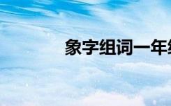象字组词一年级（象字组词）