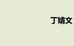 丁婧文（丁婧）
