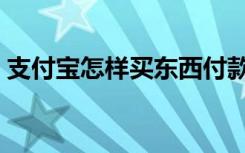 支付宝怎样买东西付款（支付宝怎样买东西）