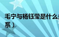 毛宁与杨钰莹是什么关系（毛宁杨钰莹什么关系）