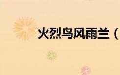 火烈鸟风雨兰（烈火凤凰 雨兰）
