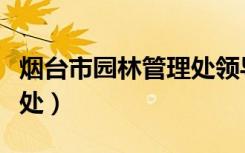 烟台市园林管理处领导班子（烟台市园林管理处）