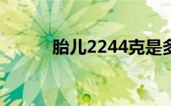 胎儿2244克是多少斤（2244k）