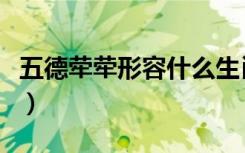 五德荦荦形容什么生肖（五德荦荦是什么意思）