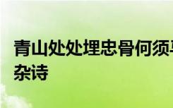 青山处处埋忠骨何须马革裹尸还是谁写的己亥杂诗