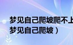 梦见自己爬坡爬不上去,有人把我拉上去了（梦见自己爬坡）