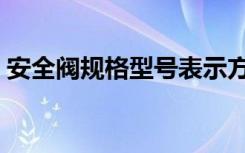 安全阀规格型号表示方法（安全阀规格型号）