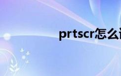 prtscr怎么读（prtscr）