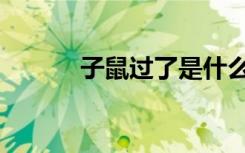 子鼠过了是什么（子鼠之霉鼠）