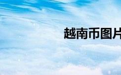 越南币图片（越南币）