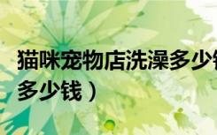 猫咪宠物店洗澡多少钱一天（猫咪宠物店洗澡多少钱）