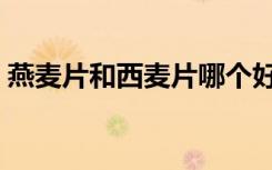 燕麦片和西麦片哪个好（西麦燕麦片怎么样）