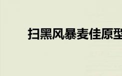 扫黑风暴麦佳原型（扫黑风暴麦佳）