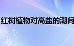 红树植物对高盐的潮间带环境具有什么特殊性