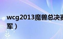 wcg2013魔兽总决赛冠军（wcg历届魔兽冠军）