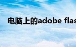 电脑上的adobe flash player是什么意思