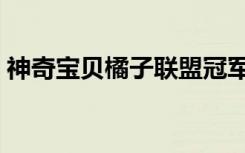 神奇宝贝橘子联盟冠军（神奇宝贝橘子联盟）
