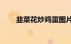 韭菜花炒鸡蛋图片（韭菜花炒鸡蛋）
