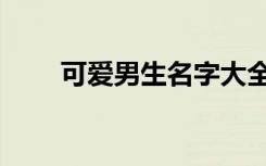 可爱男生名字大全（可爱男生名字）