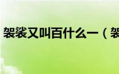 袈裟又叫百什么一（袈裟为什么也叫百纳衣）