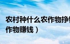 农村种什么农作物挣钱（现在农村种植什么农作物赚钱）